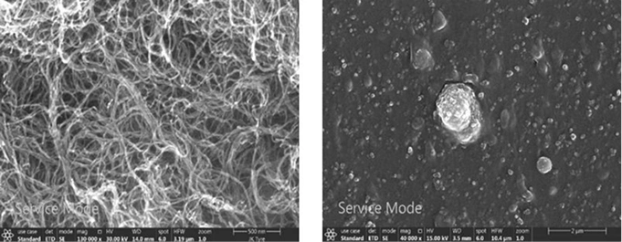 FESEM images of MWCNT & Black Filled Rubber Compound