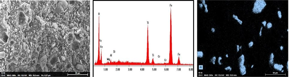 SEM Images, Spectra & Elemental Mapping fom EDS